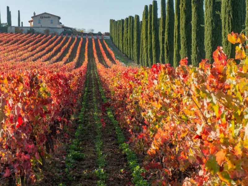 Vacanze in Umbria: Un'Esperienza Autentica nel Cuore Verde d'Italia