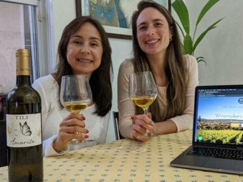 VIRTUAL TOUR: Virtual Wine Tasting of Organic italian wine