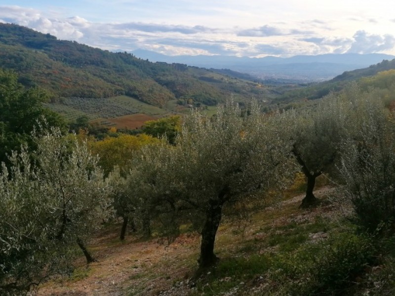 Trekking in Umbria ad Assisi. 4 giorni in Umbria scoprendo il Monte Subasio