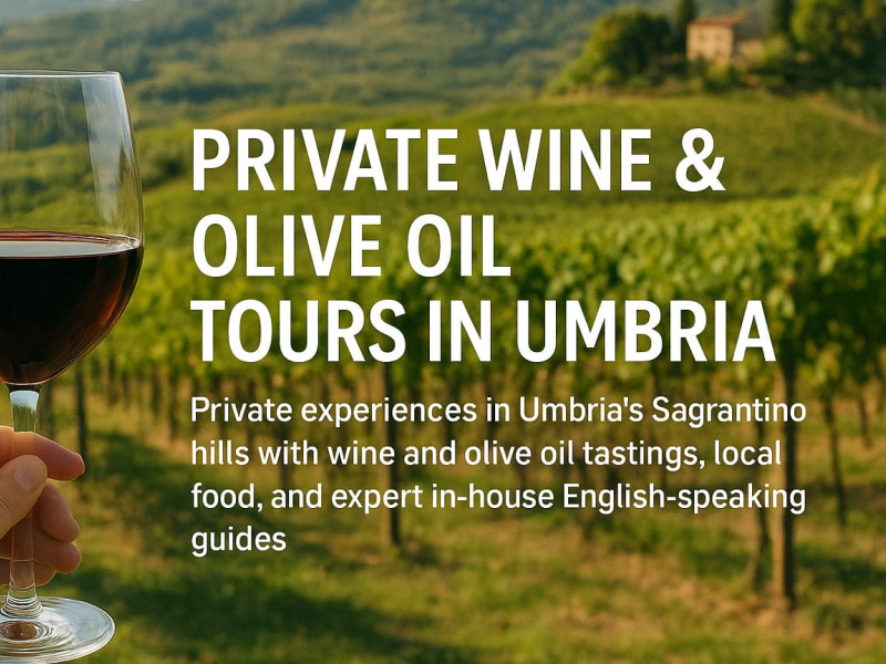 Umbria VIP Experience &ndash; Private Wine & Olive Oil Tours