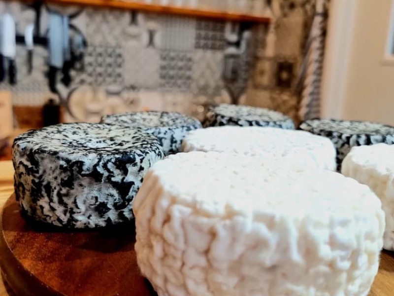 Umbria Farm Experience: Cheese & Cinta Senese